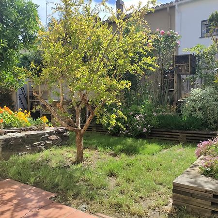 Apartamento Les Papillons Perpiñán Exterior foto