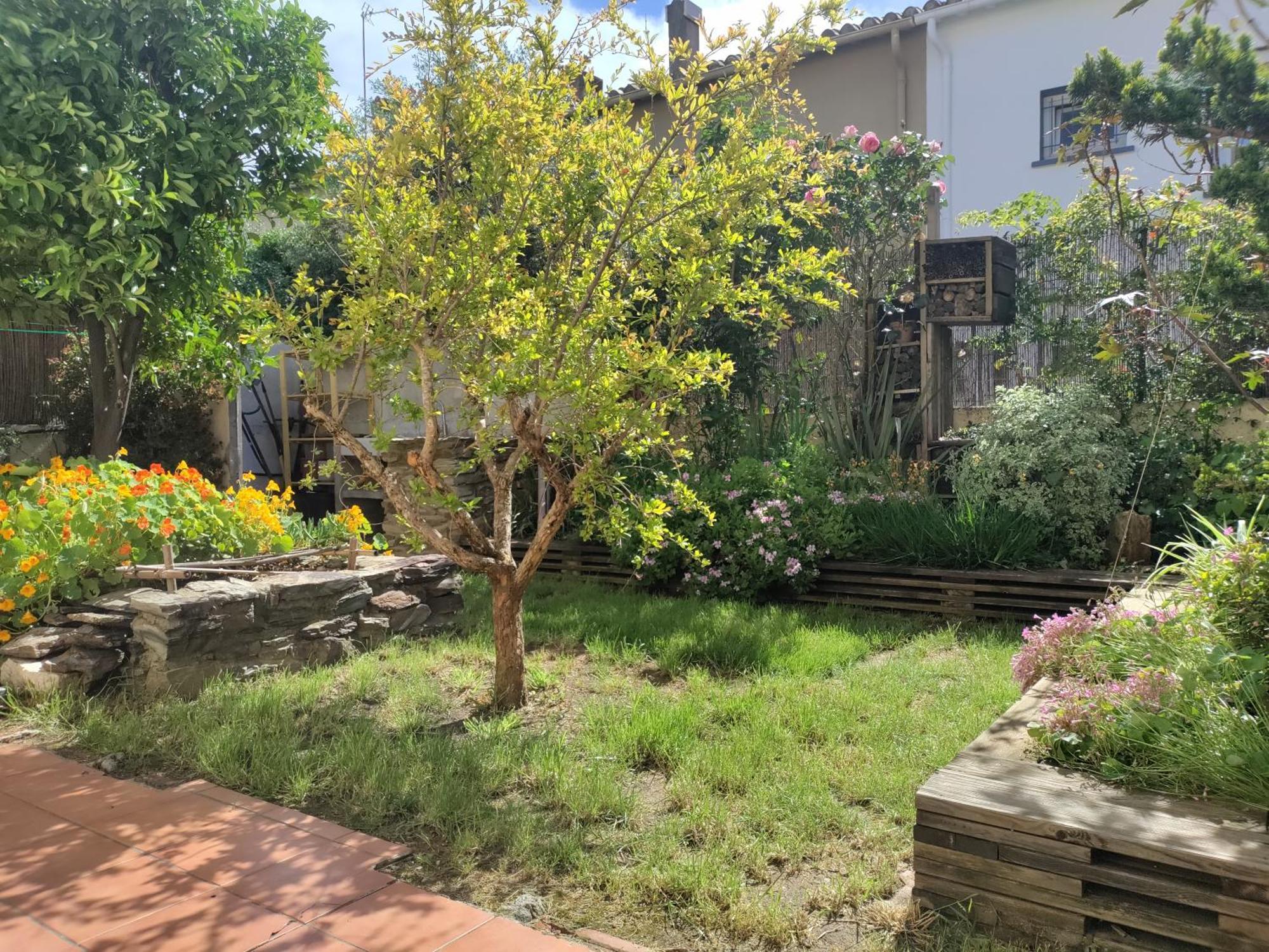 Apartamento Les Papillons Perpiñán Exterior foto